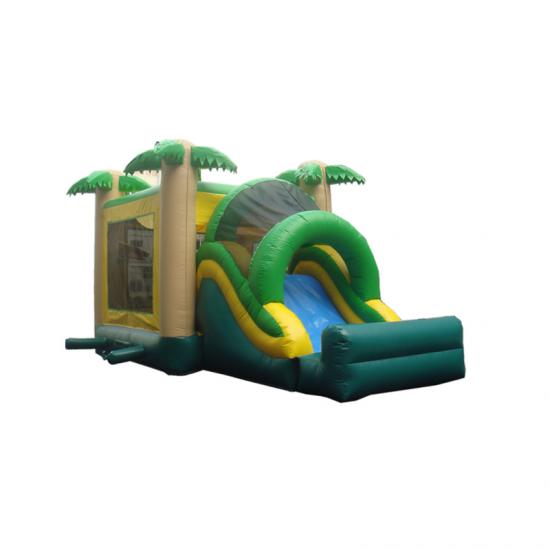 Inflatable water slide fun jumps for sale