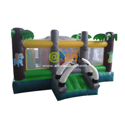 Inflatable castle amusement park
